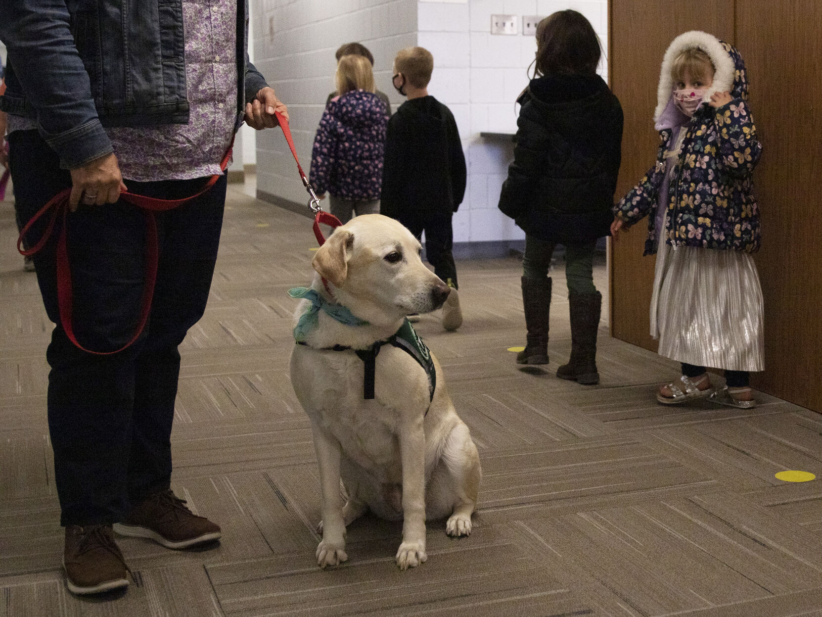 Eagle Therapy Dog 2